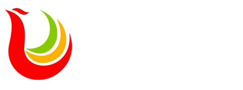 祥枫网大模型